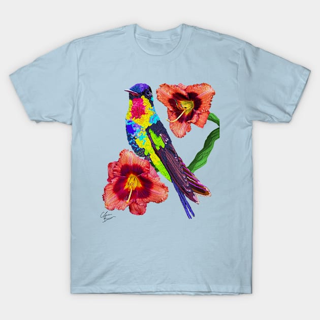 Hummingbird T-Shirt by Clarescreations.uk